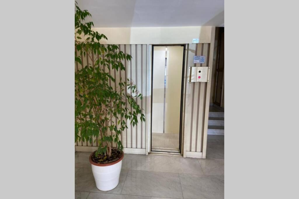 Viareggio Suite A 50 Metri Dal Mare Exterior foto